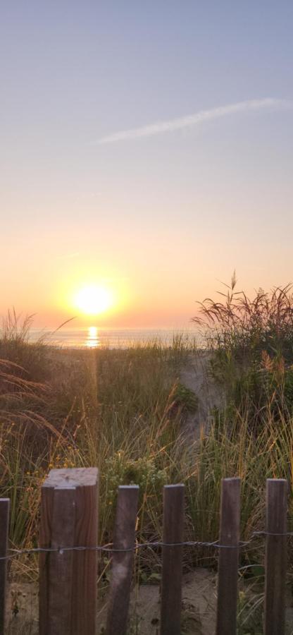 Flamingo Motel Ocean City Dış mekan fotoğraf