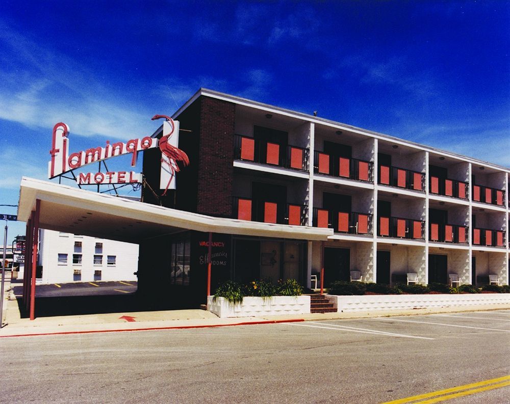 Flamingo Motel Ocean City Dış mekan fotoğraf